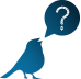 oiseau3