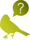 oiseau5