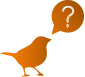 oiseau8